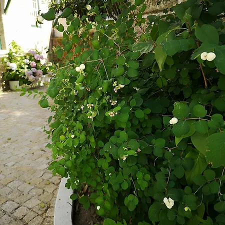 Refugio De Calheiros コビリャン