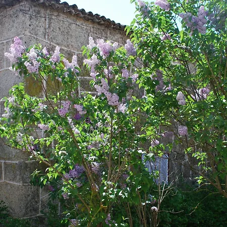Refugio De Calheiros