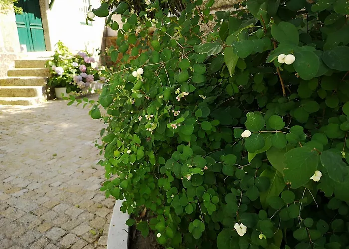 Refugio De Calheiros コビリャン