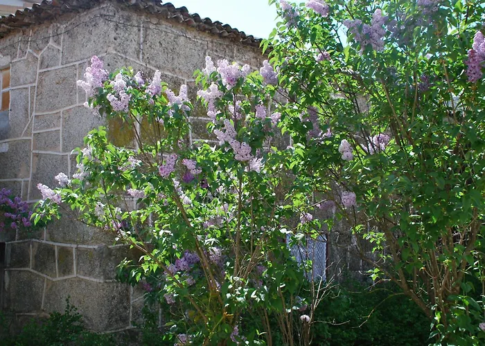 Refugio De Calheiros
